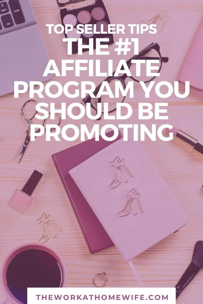 There are very few affiliate programs that cater to different niches.  This is one of them and here's why it's so great. 