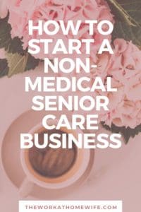Start a Non-Medical Home Care Business: Senior Care Business Ideas