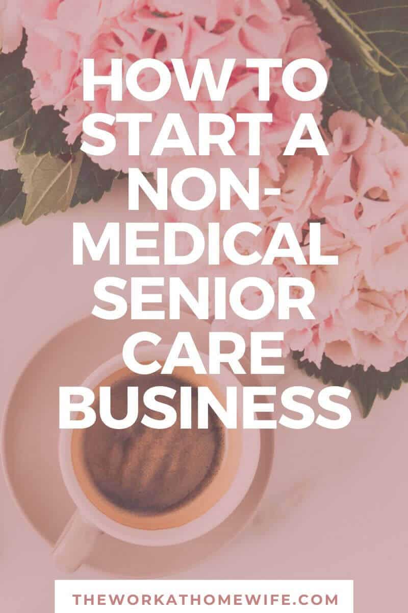 If you're interested in a helping career but don't have advanced training, a non-medical senior care business has great opportunities for you. 