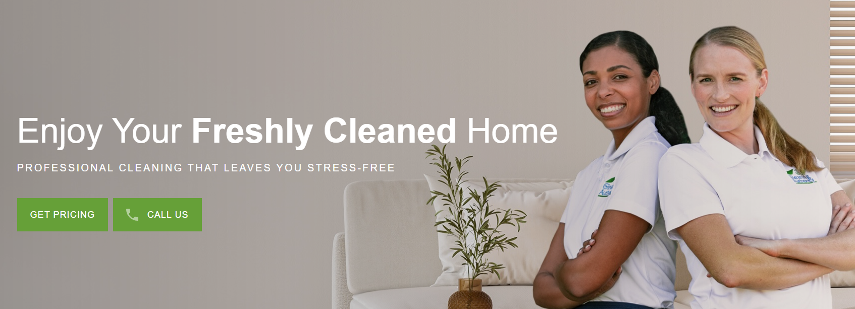 cleaning authority